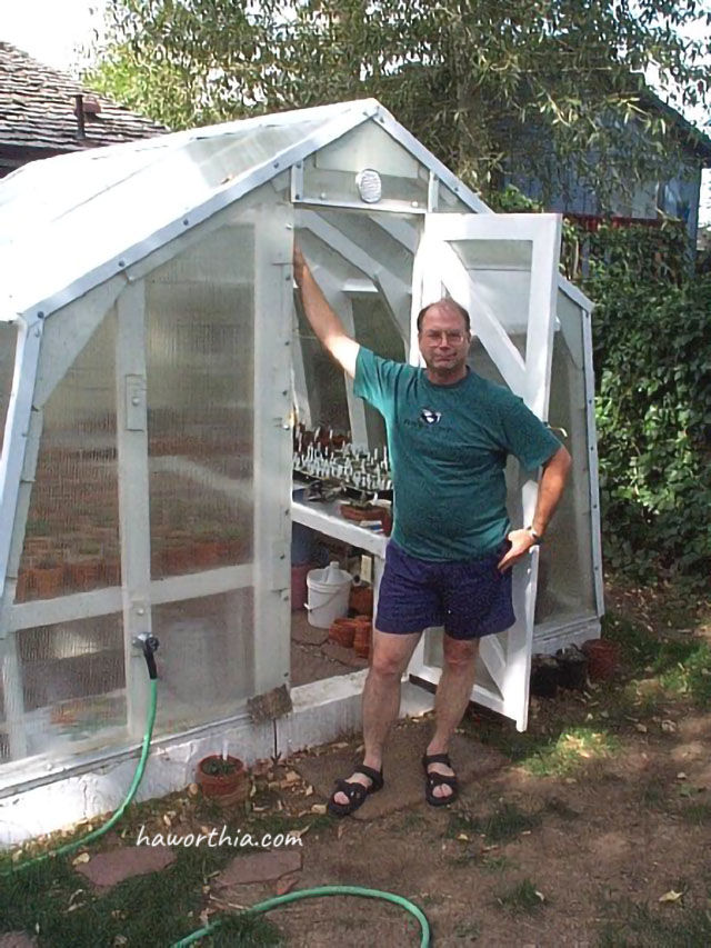 David: My greenhouse is in my yard in Broomfield, Colorado, just outside Denver. I built it in the summer of 1999. I specialize in Haworthia, with about 500 adult plants and many, many seedlings. This is where I go to enjoy these plants.