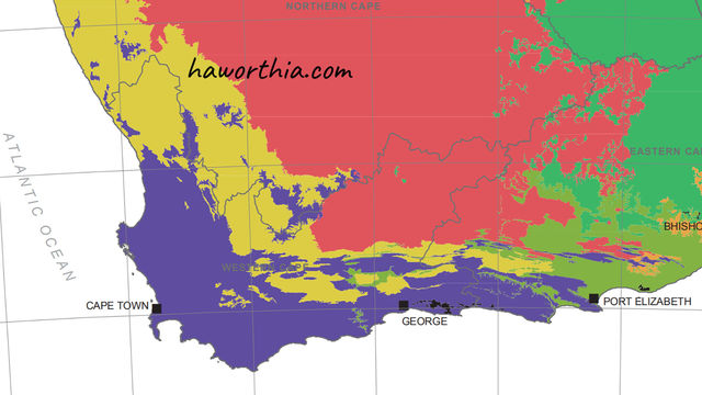 Purple identifies the Fynbos Biome.