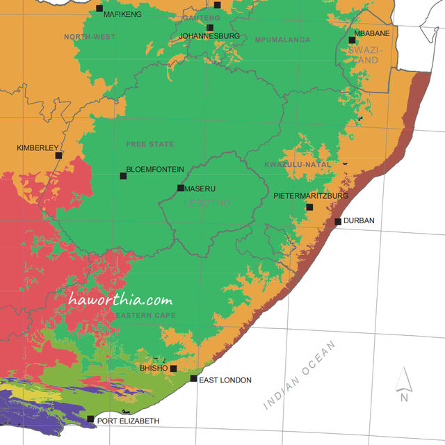 Brown identifies the Indian Ocean Coastal Belt Biome.