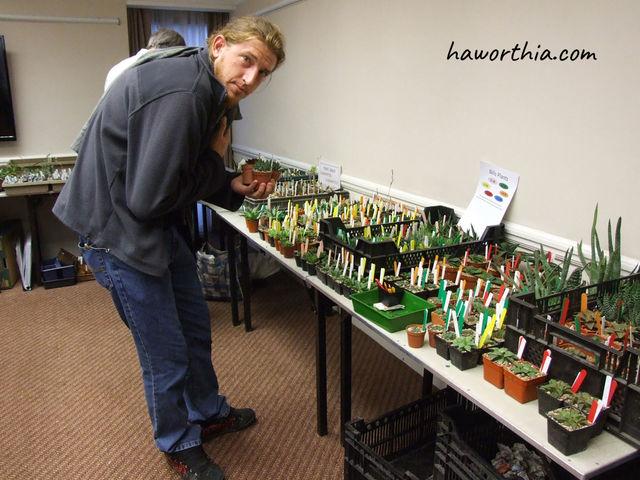 Gildenhuys in the Haworthia Society Convention, 2015