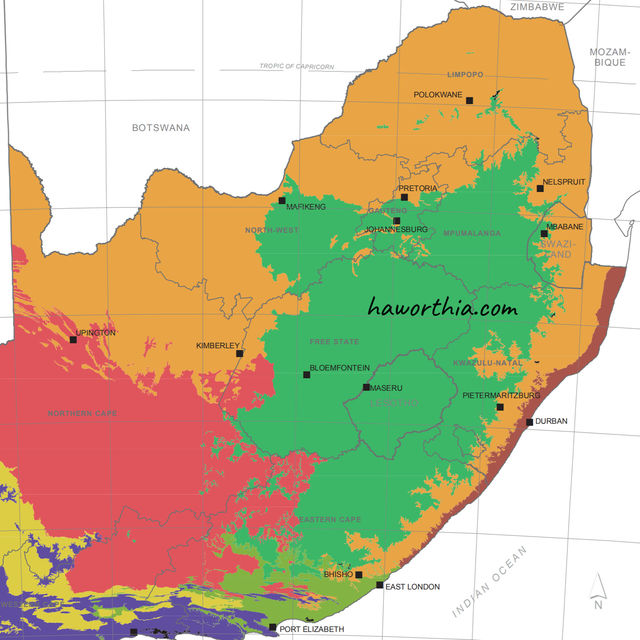 Darker yellow identifies the Savanna Biome.